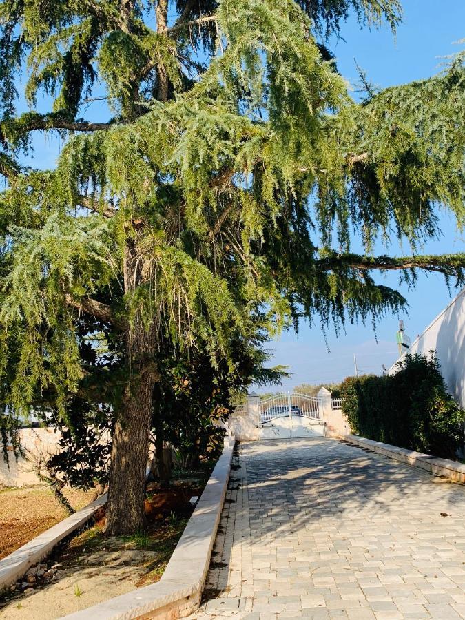 פוטיניאנו Trullo Labellavita מראה חיצוני תמונה
